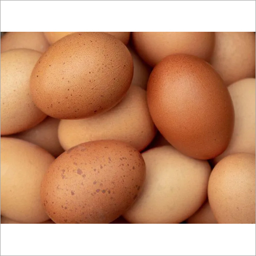 Poultry Farm Eggs