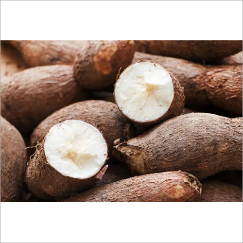Cassava Vegetable