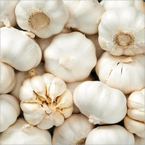 White Garlic