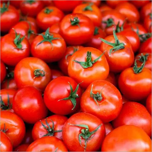 Fresh Tomatoes
