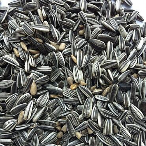Sunflower Seeds