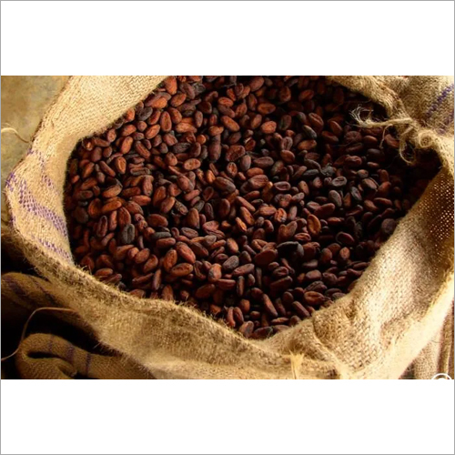 Cocoa Seeds By MGC GROUP INTERNATIONAL LTD