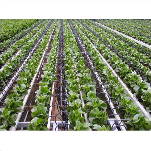 Drip Irrigation Cleaning Solution