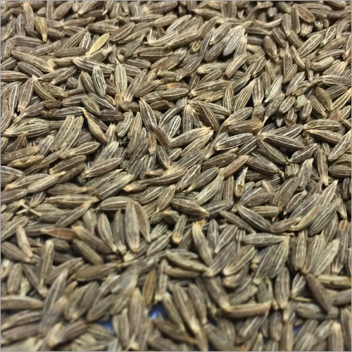 Raw Cumin Seed By SPICES INDUSTRIES