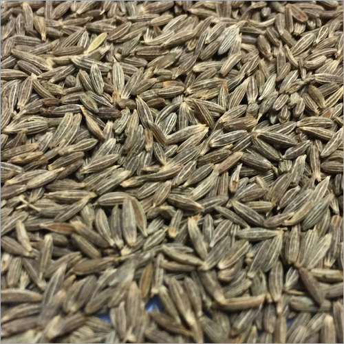 Raw Cumin Seed