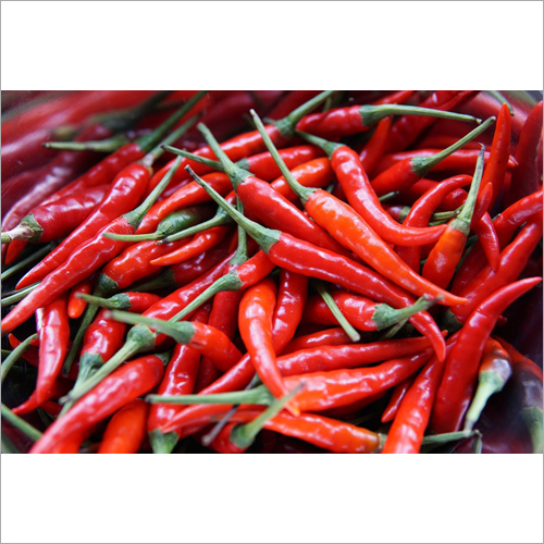 Dry Red Chili
