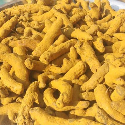 Turmeric Finger