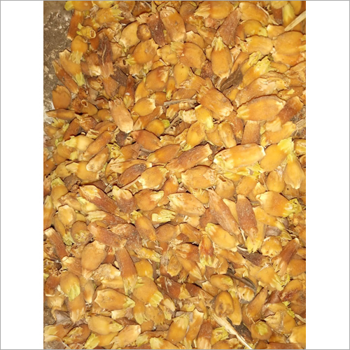 Yellow Satabar