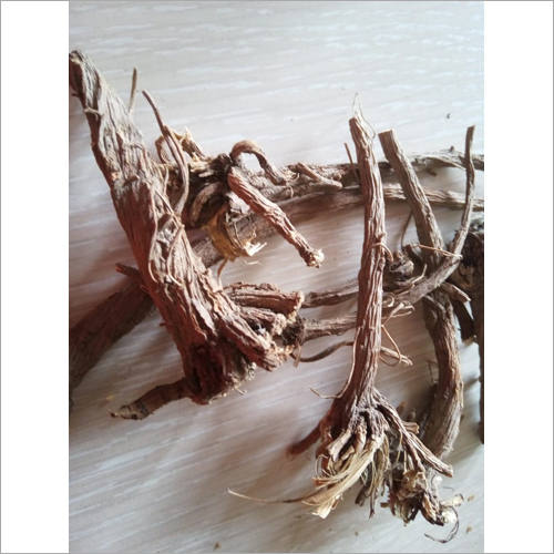 Akarkarha Root