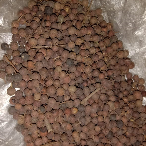 Boibidang Seeds