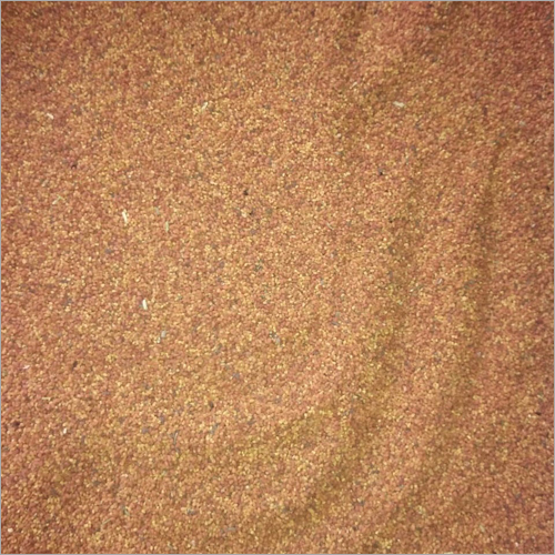Kalmegh Chirata Seeds