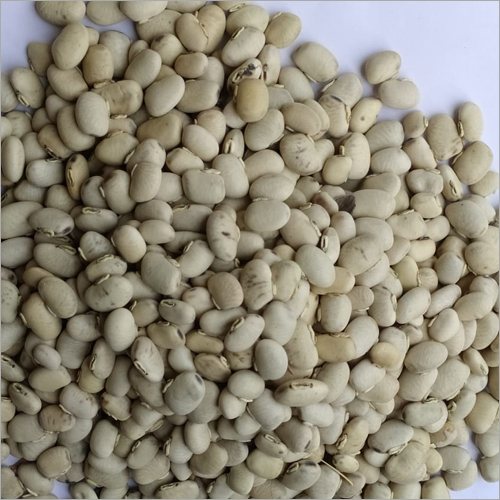 Saphed Konch Seeds