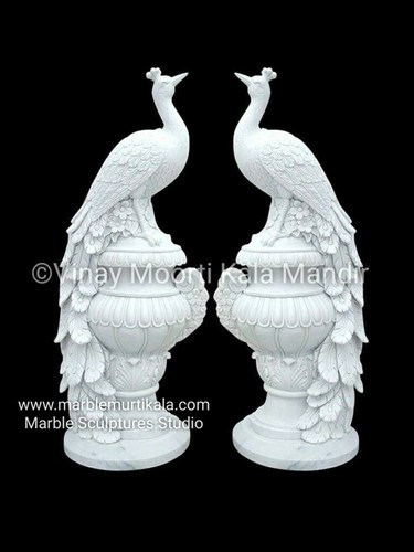 Marble Peacock