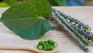 Giloy Ghan Vati Ingredients: Herbs
