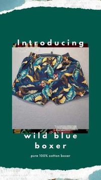 Wild Blue Boxer