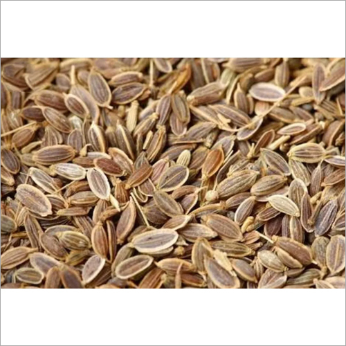 Dill Seeds - Brown 1-3mm, 8-12% Moisture | Strong Aroma, Culinary Uses, Versatile Flavor, Bulk Spice Seeds