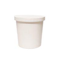 Primaxx Paper Container with Lid (White, 750 ML)