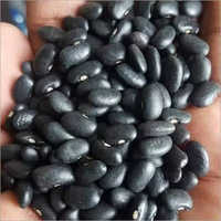 Black Kidney Beans - Medium Size, Black Color | Protein-rich, Nutrient-dense, Antioxidant-loaded, Enhances Digestive Health