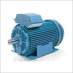 HINDUSTAN ELECTRIC MOTOR IE2