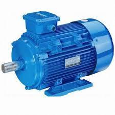Crane Duty Electric Motor