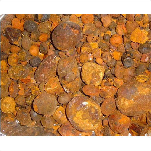OX Gallstones
