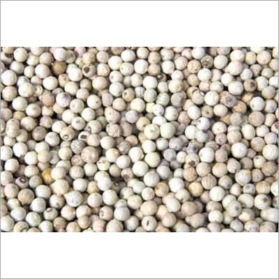 White Pepper By MINI CAM AGRO COMPANY LIMITED