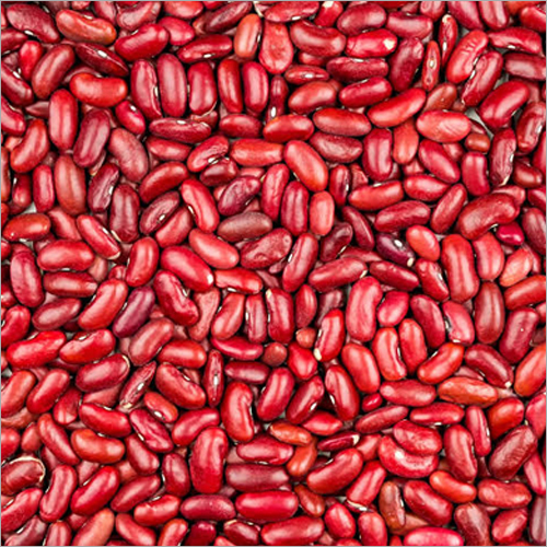 Red Kidney Beans By MINI CAM AGRO COMPANY LIMITED