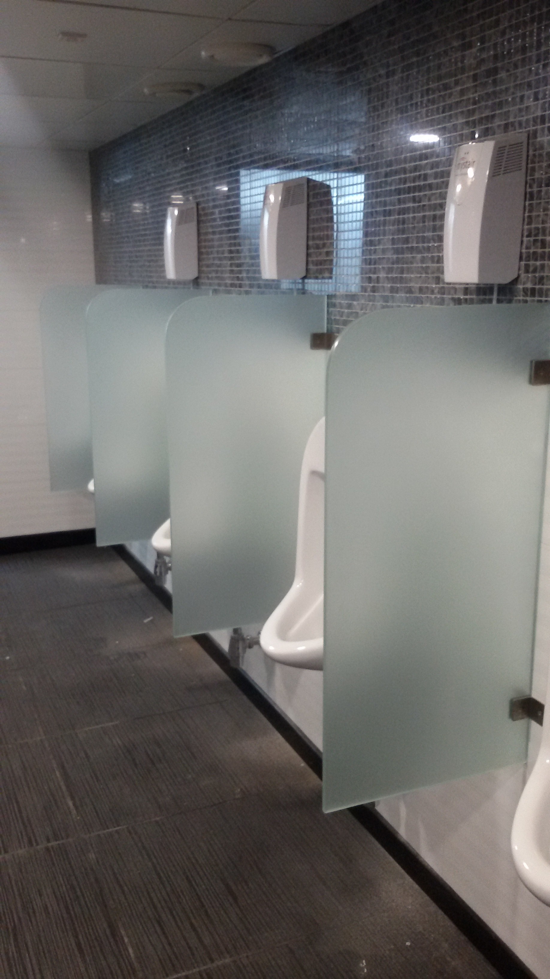 Glass Urinal Partition - Straight