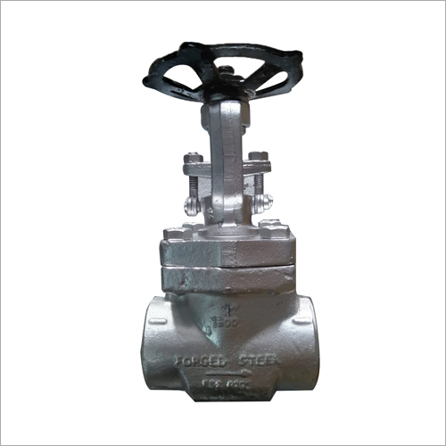 Forge Steel Gate Valves/Globe Valves