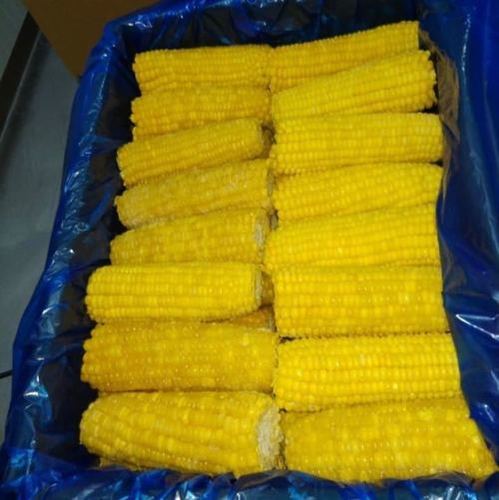 Frozen Corn On COB By JIYAN FOOD INGREDIENTS