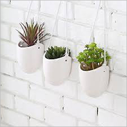 Hanging Ceramic Plants