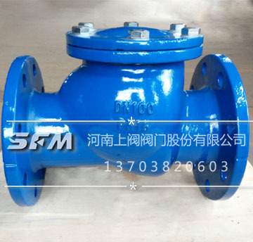 Swing rubber flap check valve