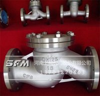 Lift Check Valve