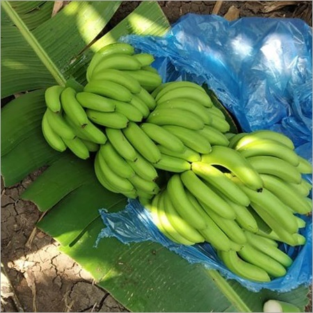Green Banana