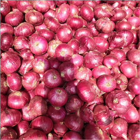 Export Onion
