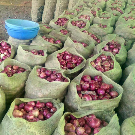 Onion With Packing