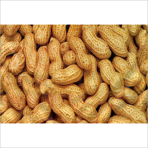 Fresh Groundnuts - Organic, Grade A, Natural Color | Dried, Processed with Avant-Garde Technology in Hygienic Manufacturing Unit