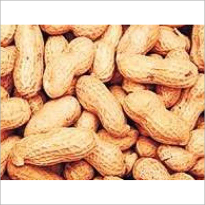 Raw Groundnuts - Organic Dried Natural Color | Grade A Cultivated with Superior Seeds and Natural Fertilizers Hygiene Packaging