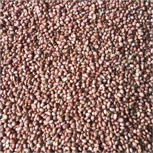 Java Peanuts - Organic Grade A Natural Color | Dried Groundnuts Rich Source of Iron Potassium and Calcium