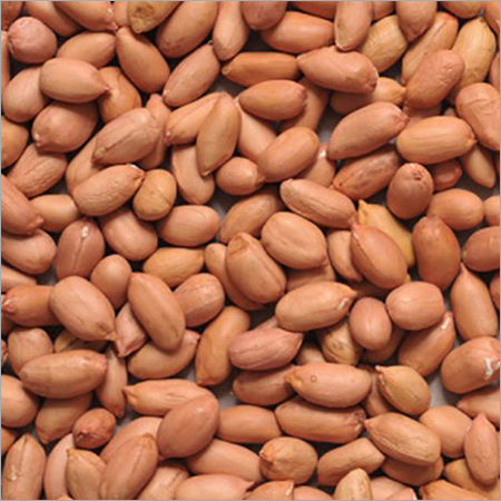Indian Peanuts - Organic Grade A Dried Groundnuts | High Protein & Vitamin Content, Long Shelf Life, Roasted Deliciousness