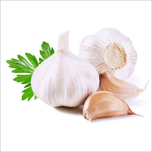 White Fresh Garlic
