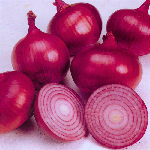 Organic Red Onion By VK UNIVERSAL EXPORT