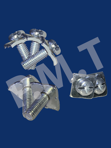 Screw with Washers