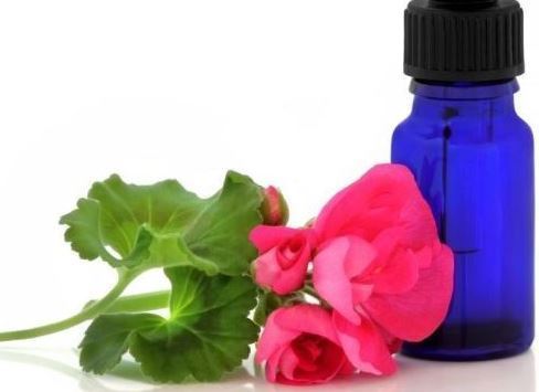 Geranium Oil