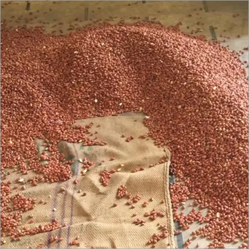 Groundnut Seeds Cleaning Process