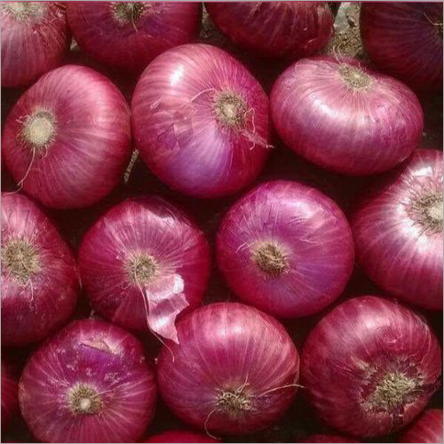 Indian Red Onion