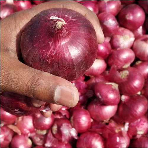 Red Onion