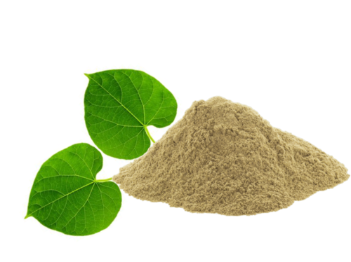 Tinospora Cordifolia Extract
