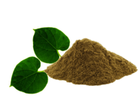 Tinospora Cordifolia Extract