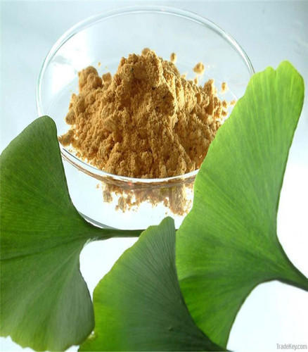 Gingko Biloba Extract
